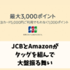 eyecatch-amazon-JCB-3000Pxx